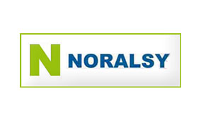 COMBINE INTERPHONE UNIVERSEL 5 FILS NORALSY